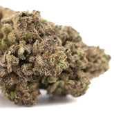 Zkittlez Cross THCa Hemp Flower Greenhouse